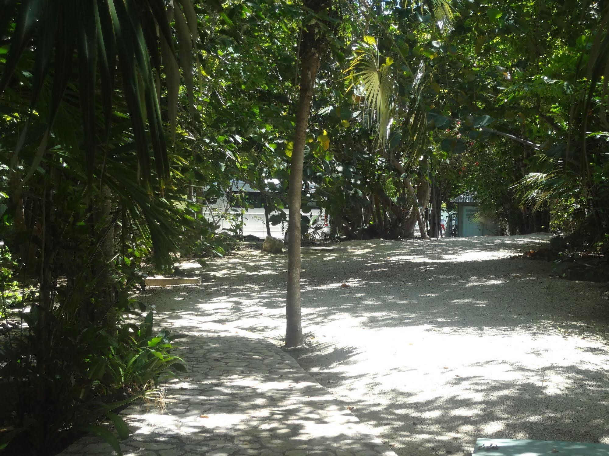 Idle Awhile Cliffs Hotel Negril Exterior photo